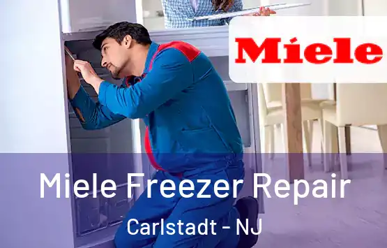  Miele Freezer Repair Carlstadt - NJ