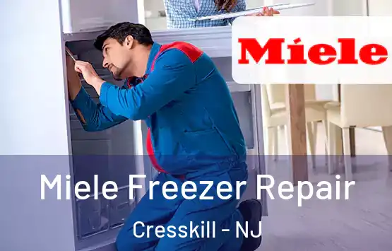  Miele Freezer Repair Cresskill - NJ