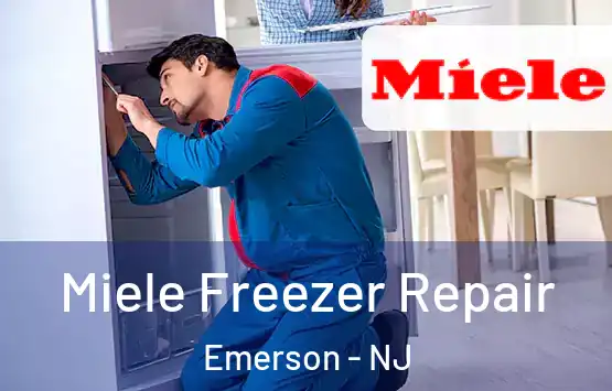  Miele Freezer Repair Emerson - NJ