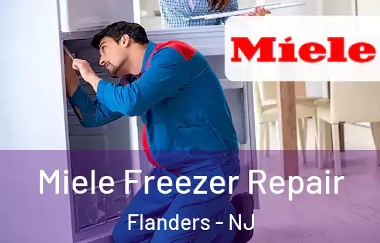  Miele Freezer Repair Flanders - NJ