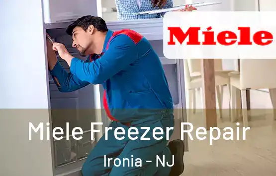  Miele Freezer Repair Ironia - NJ