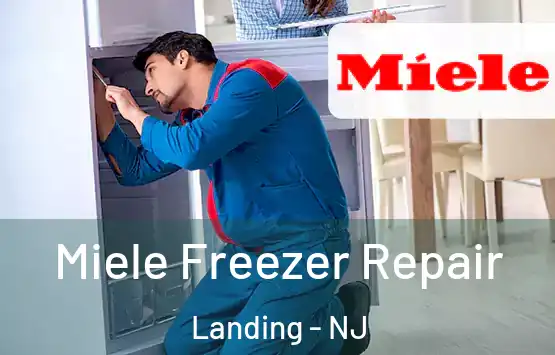  Miele Freezer Repair Landing - NJ