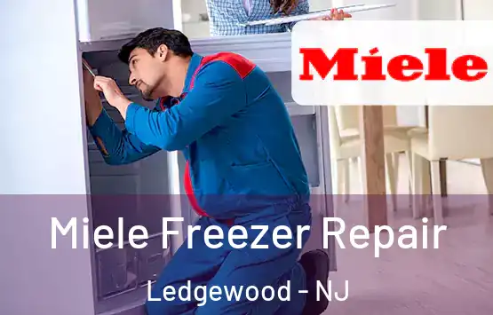  Miele Freezer Repair Ledgewood - NJ