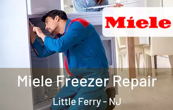  Miele Freezer Repair Little Ferry - NJ