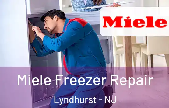 Miele Freezer Repair Lyndhurst - NJ