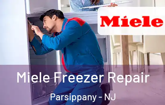  Miele Freezer Repair Parsippany - NJ