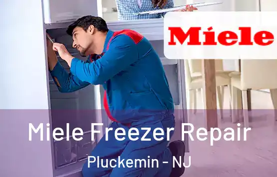 Miele Freezer Repair Pluckemin - NJ