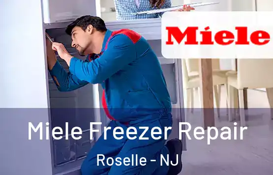  Miele Freezer Repair Roselle - NJ