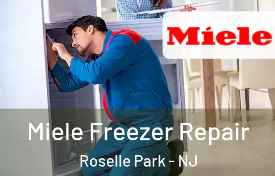  Miele Freezer Repair Roselle Park - NJ