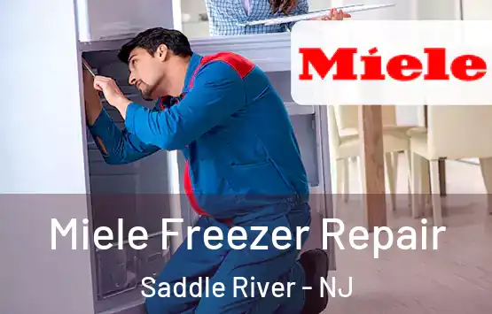  Miele Freezer Repair Saddle River - NJ
