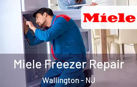  Miele Freezer Repair Wallington - NJ