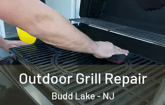  Outdoor Grill Repair Budd Lake - NJ
