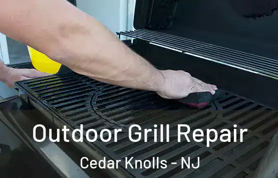  Outdoor Grill Repair Cedar Knolls - NJ