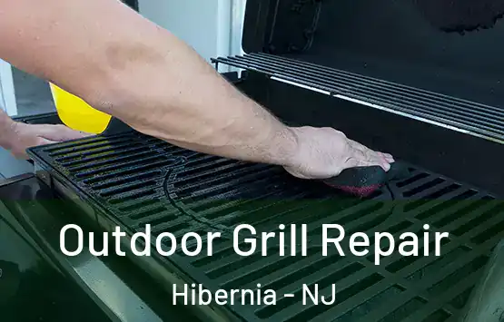  Outdoor Grill Repair Hibernia - NJ
