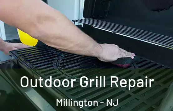  Outdoor Grill Repair Millington - NJ