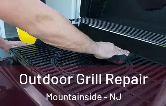  Outdoor Grill Repair Mountainside - NJ