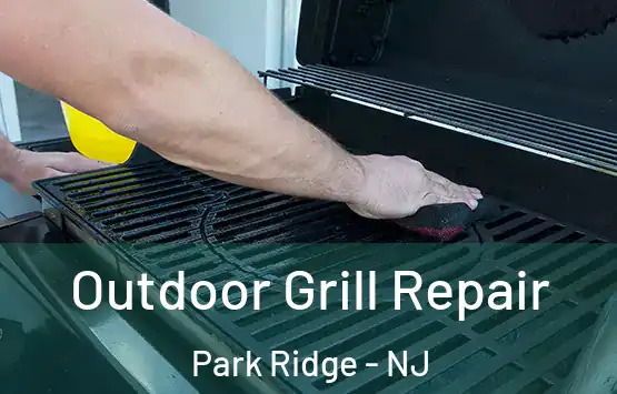  Outdoor Grill Repair Park Ridge - NJ