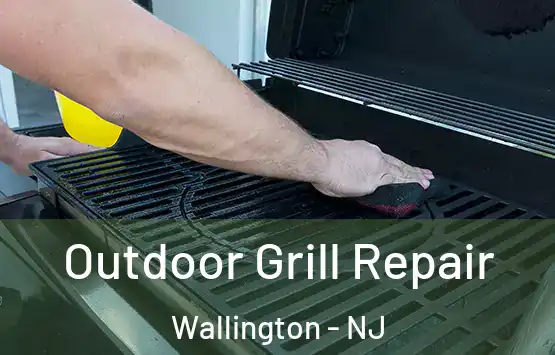  Outdoor Grill Repair Wallington - NJ