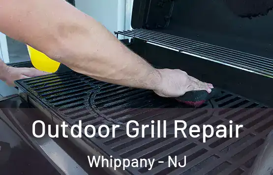  Outdoor Grill Repair Whippany - NJ