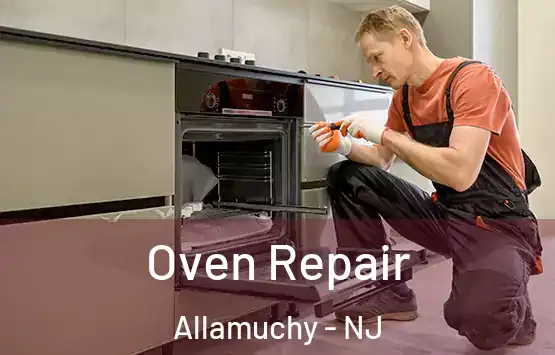  Oven Repair Allamuchy - NJ