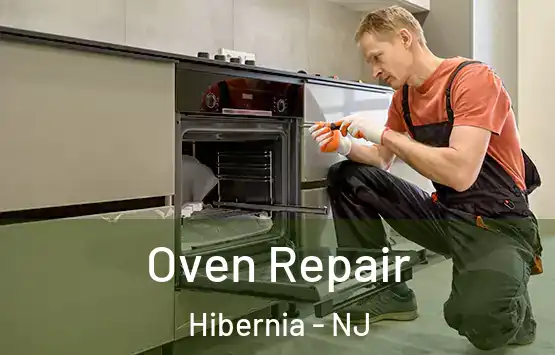  Oven Repair Hibernia - NJ