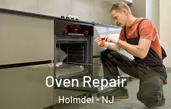  Oven Repair Holmdel - NJ