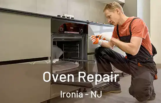  Oven Repair Ironia - NJ