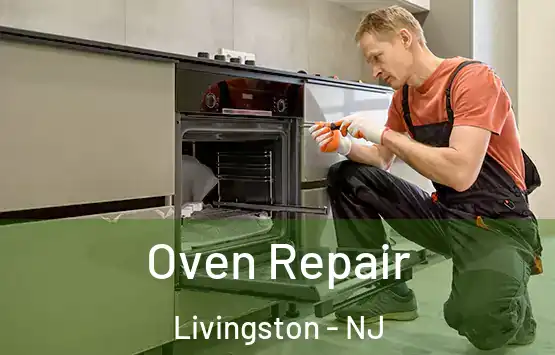  Oven Repair Livingston - NJ