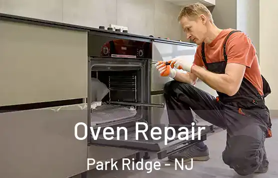  Oven Repair Park Ridge - NJ