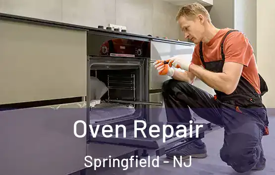  Oven Repair Springfield - NJ