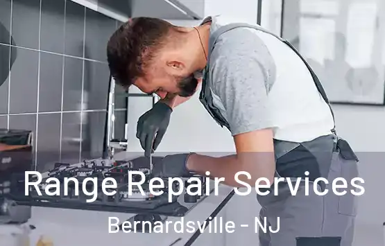  Range Repair Services Bernardsville - NJ