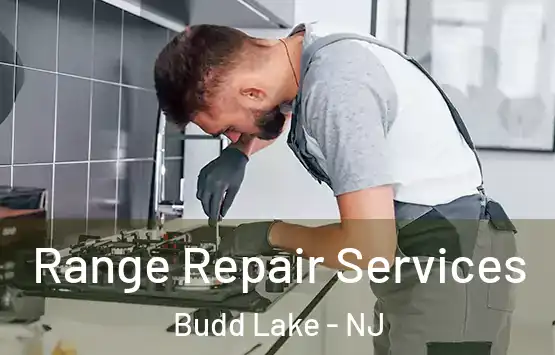  Range Repair Services Budd Lake - NJ