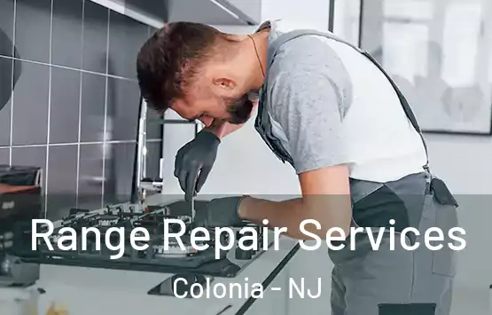  Range Repair Services Colonia - NJ