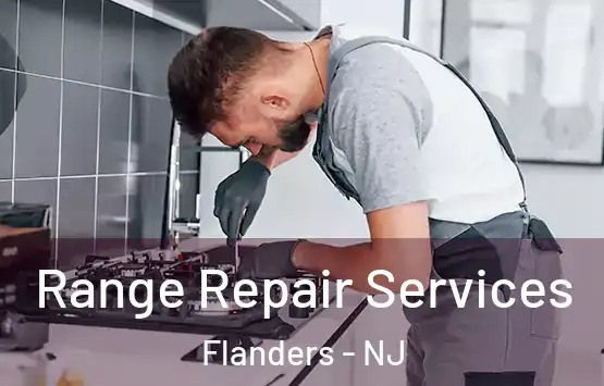  Range Repair Services Flanders - NJ