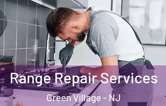  Range Repair Services Green Village - NJ