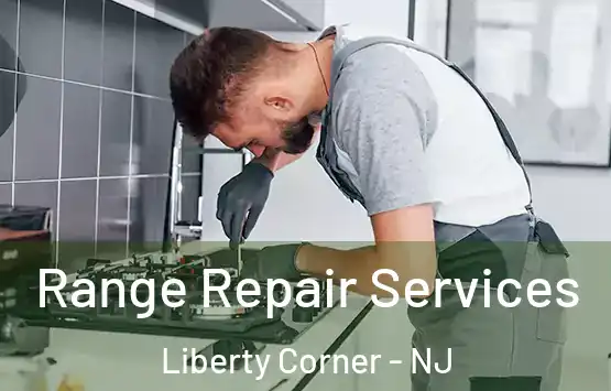  Range Repair Services Liberty Corner - NJ