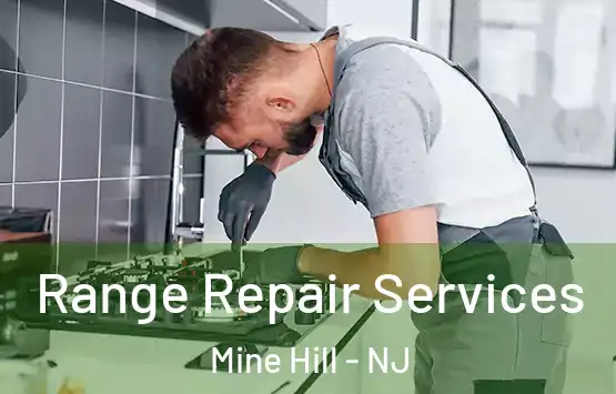  Range Repair Services Mine Hill - NJ