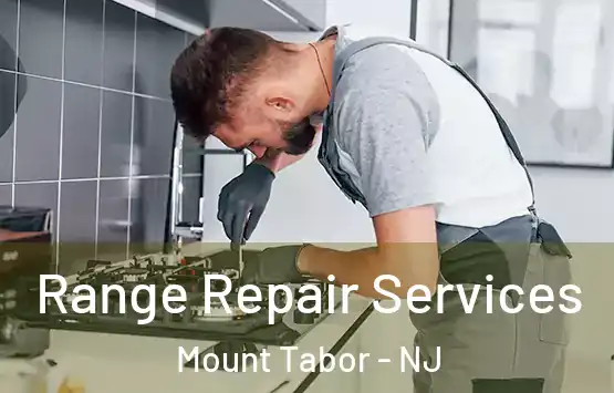  Range Repair Services Mount Tabor - NJ