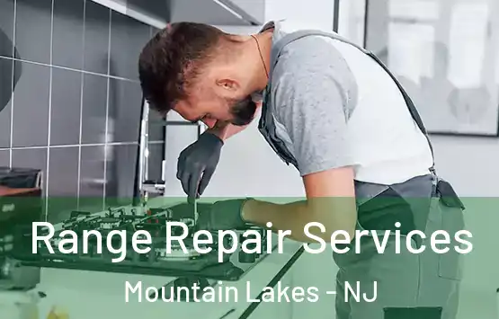 Range Repair Services Mountain Lakes - NJ