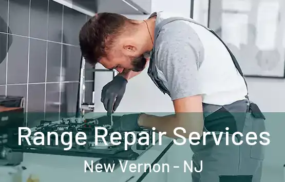  Range Repair Services New Vernon - NJ