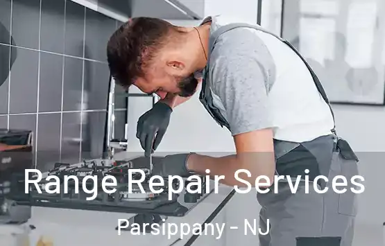  Range Repair Services Parsippany - NJ