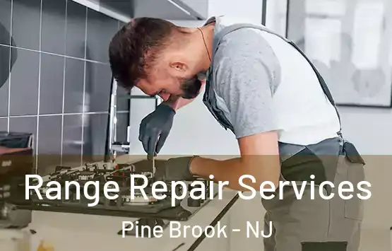  Range Repair Services Pine Brook - NJ