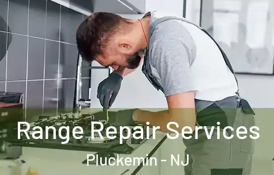  Range Repair Services Pluckemin - NJ