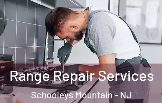  Range Repair Services Schooleys Mountain - NJ