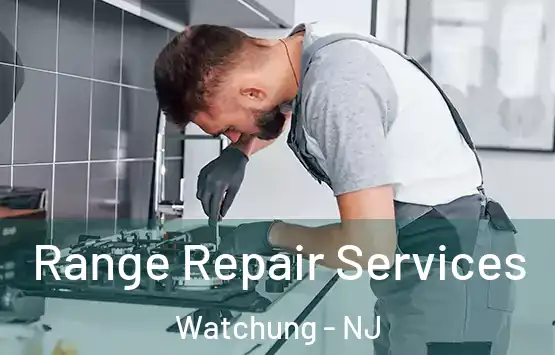  Range Repair Services Watchung - NJ