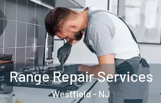  Range Repair Services Westfield - NJ