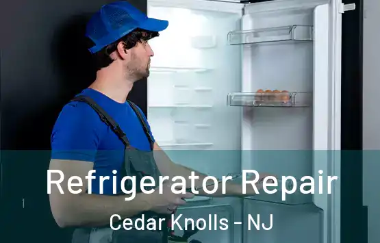  Refrigerator Repair Cedar Knolls - NJ