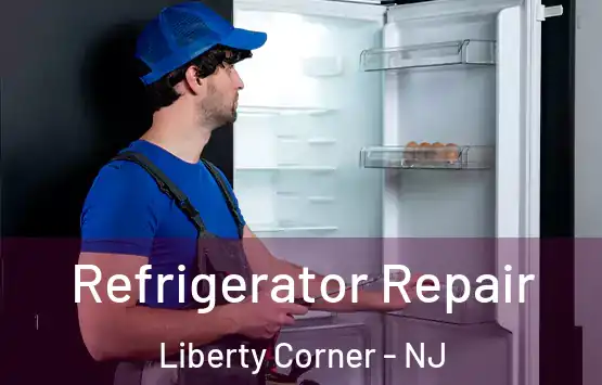  Refrigerator Repair Liberty Corner - NJ