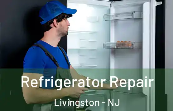  Refrigerator Repair Livingston - NJ