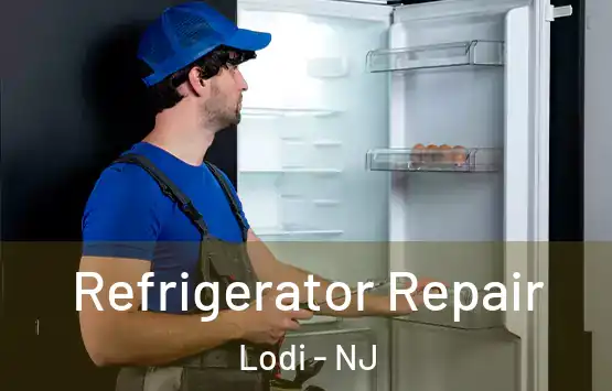  Refrigerator Repair Lodi - NJ